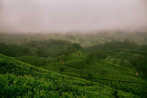 landscape in India