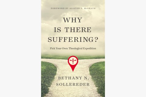 book cover "why is there suffering"